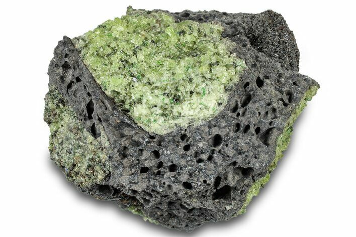 Peridot in Basalt - Arizona #300599